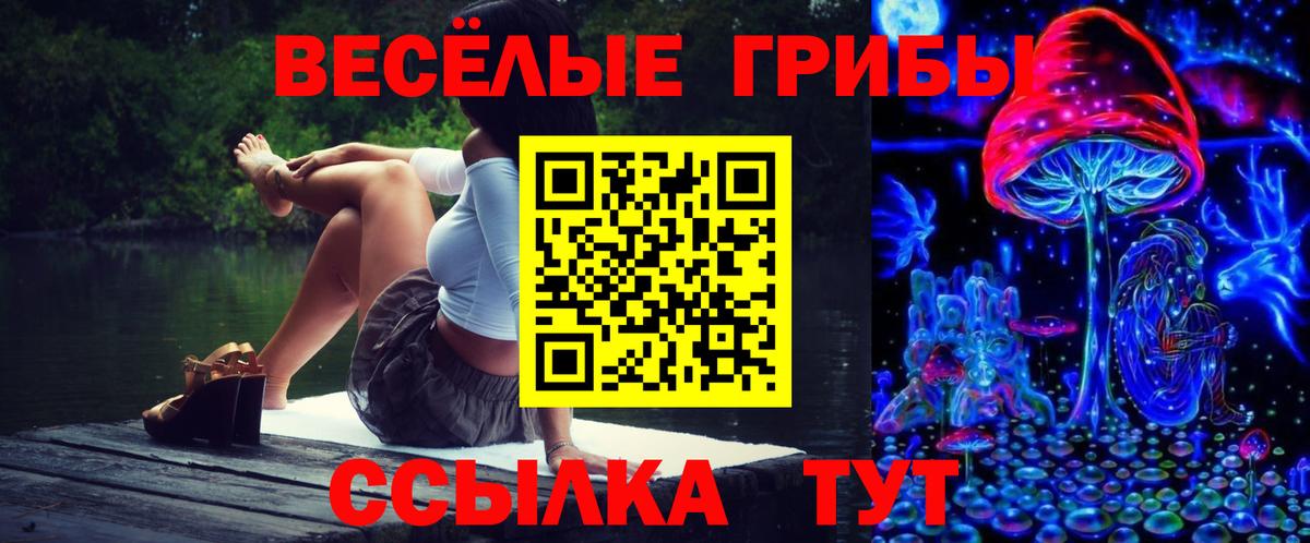 Галлюциногенные грибы мухоморы  Вход с VPN  Новошахтинск 