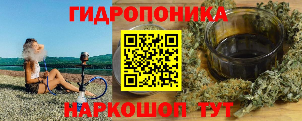 Марихуана сатива Новошахтинск